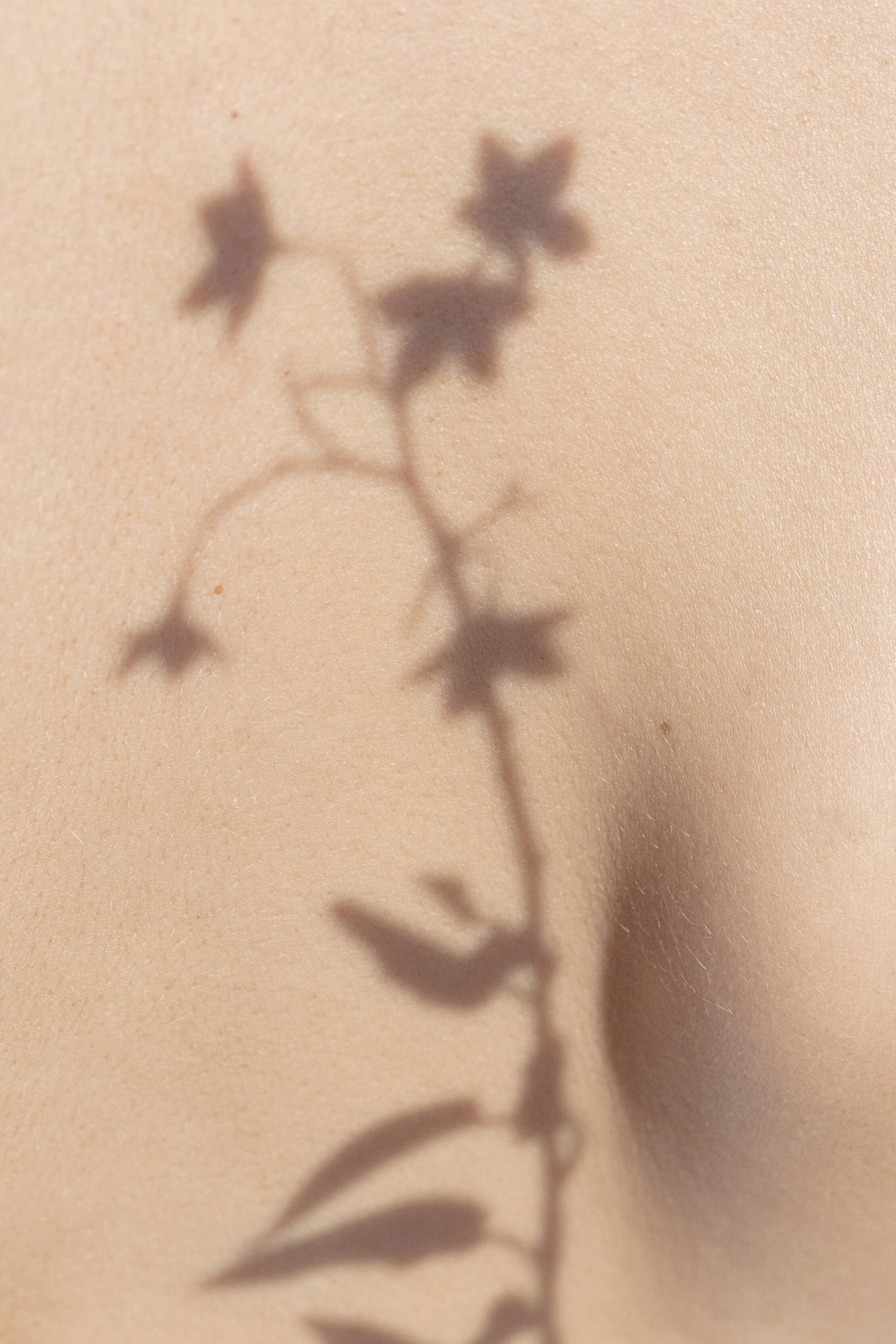 Mo&Co - Creative direction