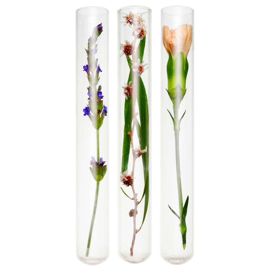 ShZen - Styling & art direction